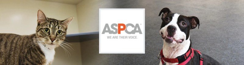 Aspca Donation