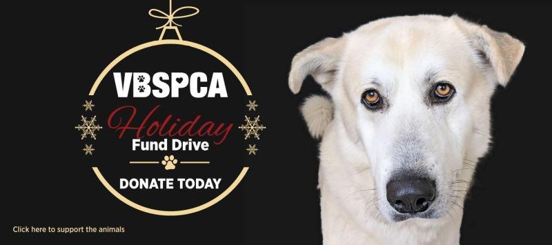 Donations Spca