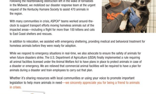 How To Donate To Aspca