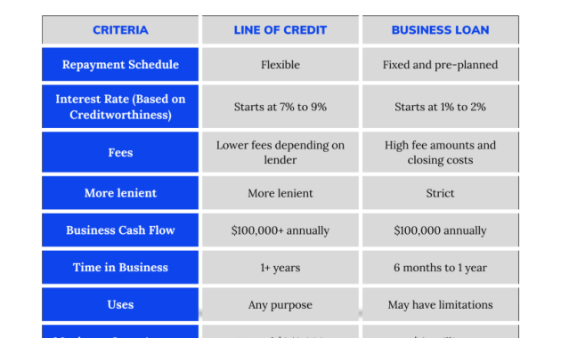 Unsecured Business Term Loans